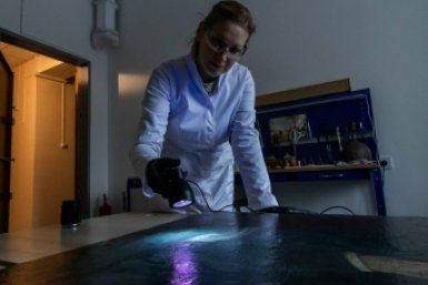 5902313.jpg?4a09ea3c34a4eda6d324877b7f543e70