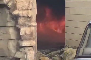 Новость дня