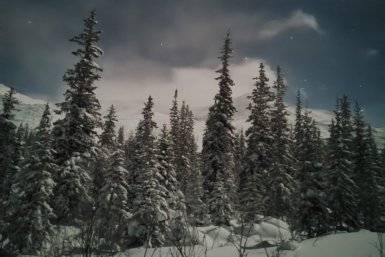 5904121.jpg?93f443f47b4a06c65be57bfabcc74552