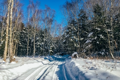 Новость дня