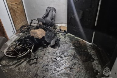 5905826.jpg?a33438f8263b625b4ab72ad9ed046860