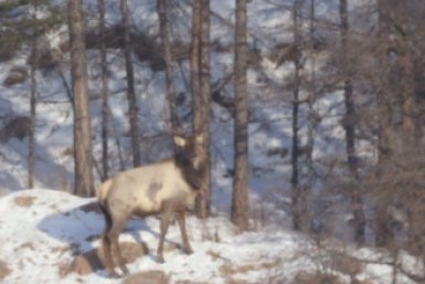 5908017.jpg?ba9f0964d21ab08653d1d25ac320dc0e