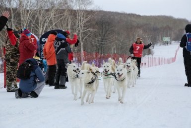 Новость дня