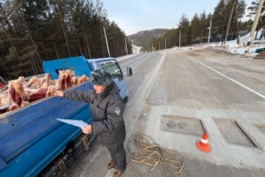 5911132.jpg?5d5ebde1201c6d64ab936e6aef1560ba