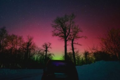 Новость дня