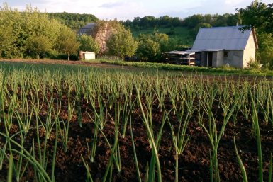 Тематическое фото unsplash.com