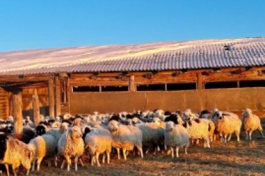 5917938.jpg?7c81ff4ab498730b2e203006207726f3