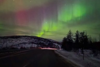 Новость дня