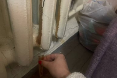 Новость дня