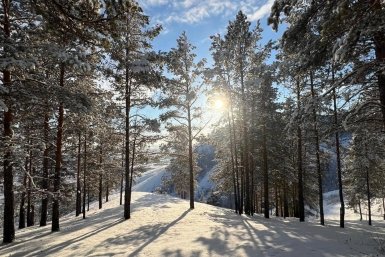 Гороскоп на неделю: Телец опирается на факты, Водолей избегает конфликтов ИА YakutiaMedia