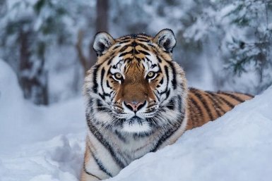 5919544.jpg?0fde0997a9145ad4dc6e0e3e096af04b