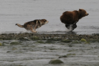 Новость дня