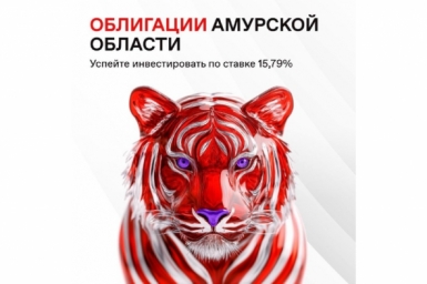 26 декабря – последний шанс инвестировать в Амурскую область и заработать 15,79% годовых