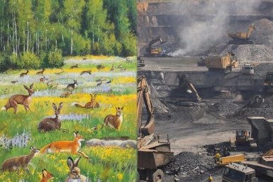 Новость дня