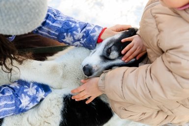 Новость дня