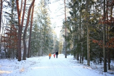 5926102.jpg?abc3b7919da57d6895bef7429048af79