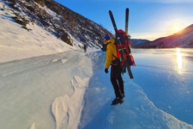 Новость дня