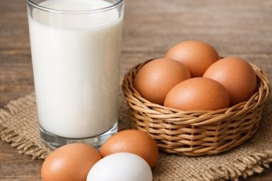 428 тысяч тонн молока и 983 млн штук яиц произведено в Приангарье за 2025 год Kandinsky by Sber AI (18+)