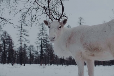 Новость дня