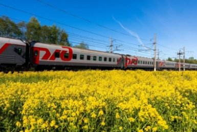 Новость дня