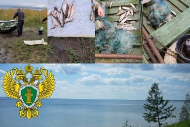 5930944.jpg?04e57cedbfafedba5deb1ed818f15ff5