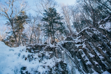 Новость дня