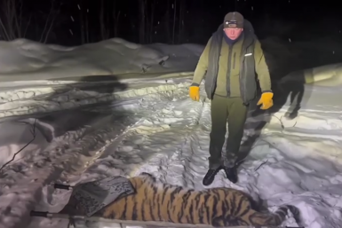 Новость дня