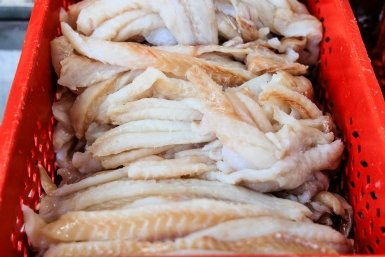 минтай Евгений  Кулешов, ИА PrimaMedia.ru