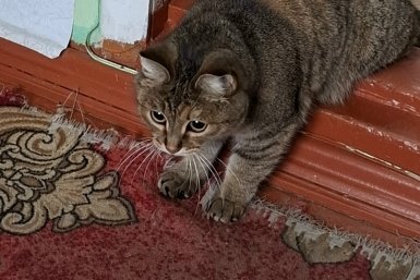 Новость дня