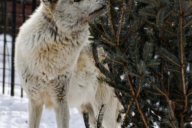 5933131.jpg?7d2ef521a2bc53110a383d02e10d7f92