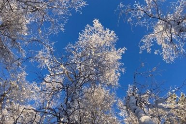 Гороскоп на 2 февраля: Энергетика дня создаст условия для пересмотра приоритетов ИА YakutiaMedia