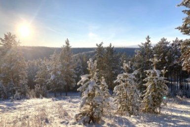 Гороскоп на неделю: Телец восстанавливает силы, Водолей избегает размышлений ИА YakutiaMedia