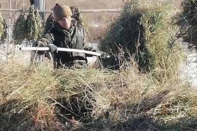 Новость дня