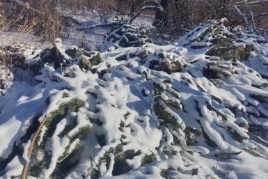 Новость дня