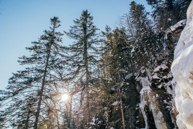 Новость дня