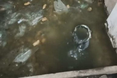 Новость дня