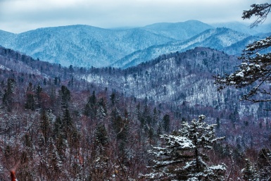 Новость дня
