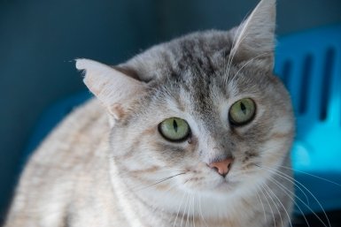 Новость дня