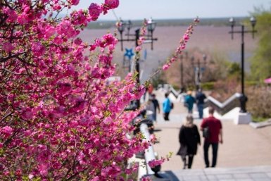 Тематическое фото Администрация Хабаровска