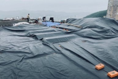 5943605.jpg?733f6bca13c155c69395bffd0d4d1635