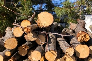 Тематическое фото Прокуратура Магаданской области