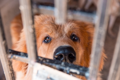 Новость дня