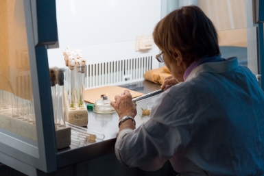 Значимые научные открытия и проекты ученых Республики Саха в 2025 году Илья Аверьянов, ИА PrimaMedia