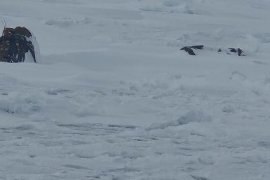 Тематическое фото Группа в мессенджере MAX  &quotРыбалка Сахалин чат&quot (18+)