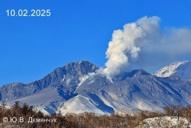 Новость дня