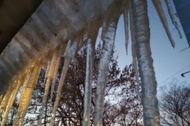 Новость дня