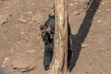 Тематическое фото Мария Смитюк, ИА PrimaMedia