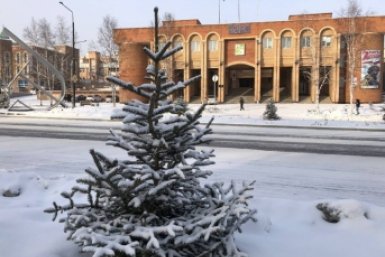 В незаконных госзакупках снова уличили главу Тындинской думы