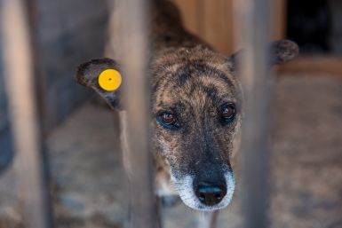 Новость дня