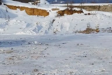 Новость дня